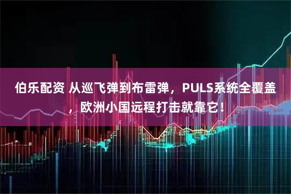 伯乐配资 从巡飞弹到布雷弹，PULS系统全覆盖，欧洲小国远程打击就靠它！