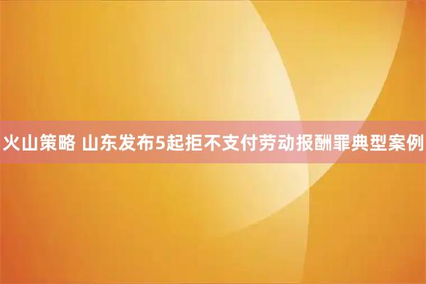 火山策略 山东发布5起拒不支付劳动报酬罪典型案例