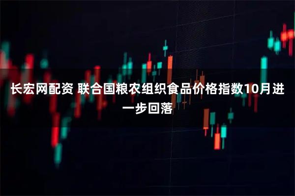 长宏网配资 联合国粮农组织食品价格指数10月进一步回落