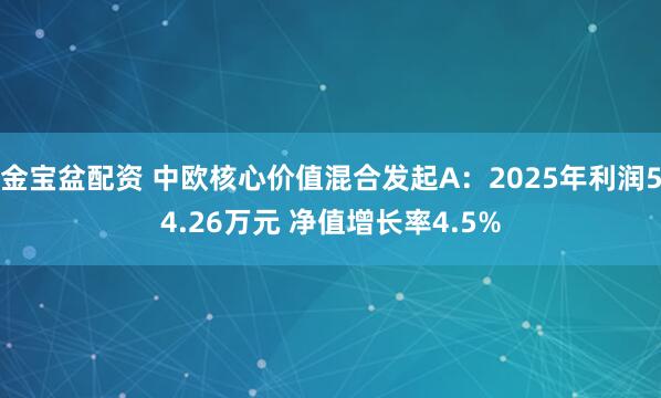 金宝盆配资 中欧核心价值混合发起A：2025年利润54.26万元 净值增长率4.5%