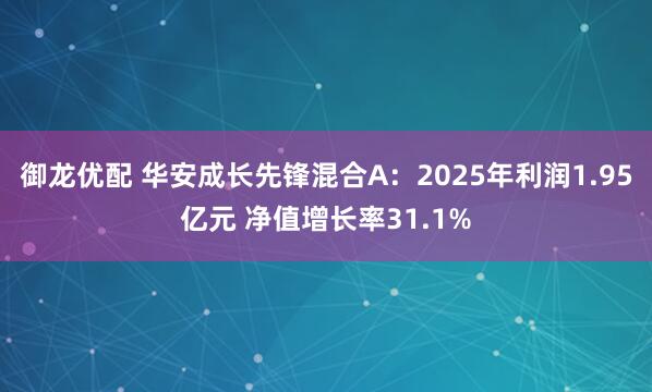 御龙优配 华安成长先锋混合A：2025年利润1.95亿元 净值增长率31.1%
